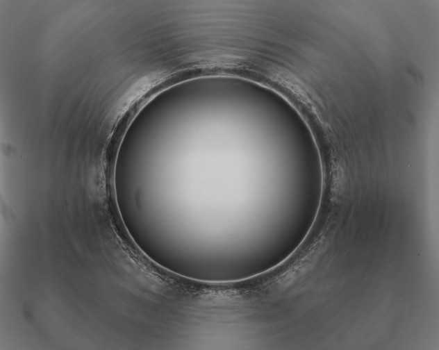 X0000090910978200708061519