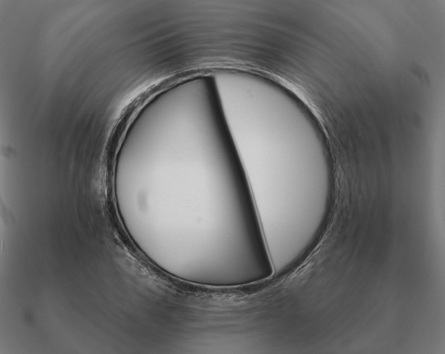 X0000090910979200708061519