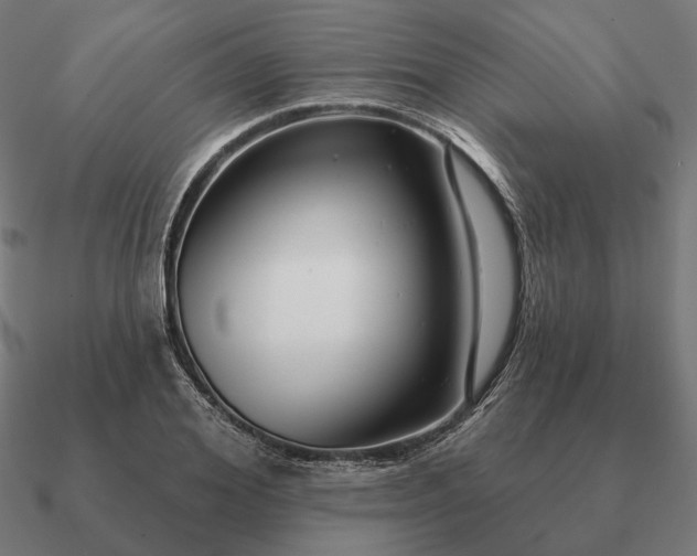 X0000090910980200708061519