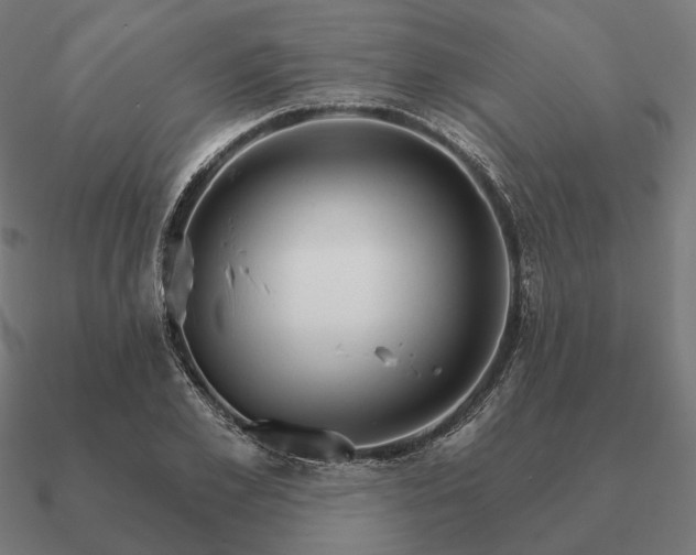 X0000090910981200708061519