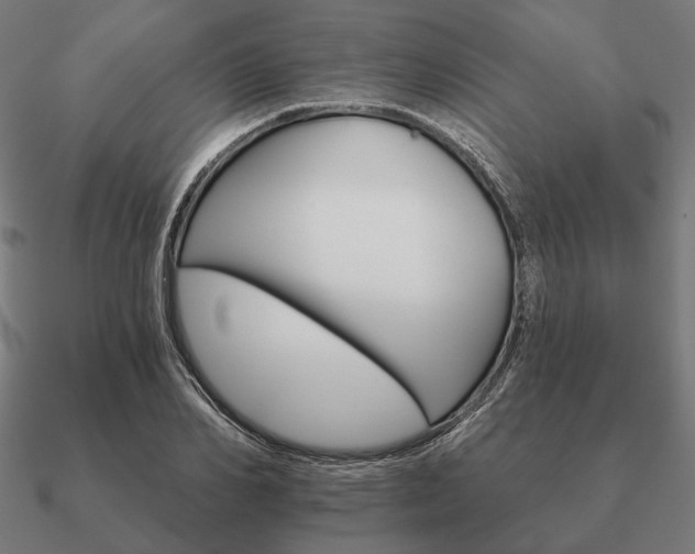 X0000090910982200708061519