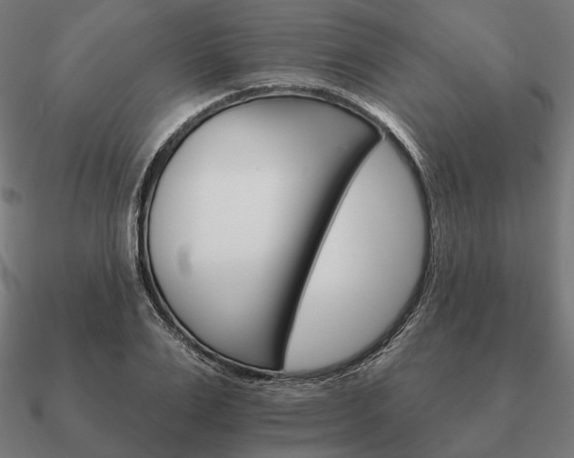 X0000090910983200708061519