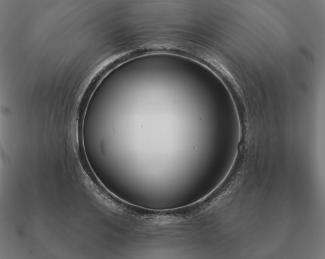 X0000090910984200708061519