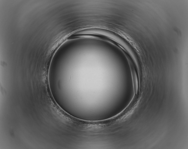 X0000090910985200708061519