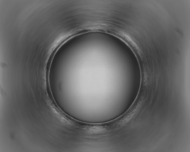 X0000090910986200708061519