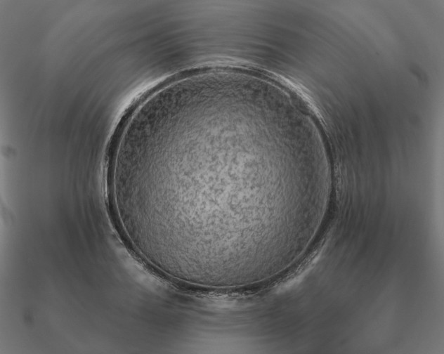 X0000090910987200708061519