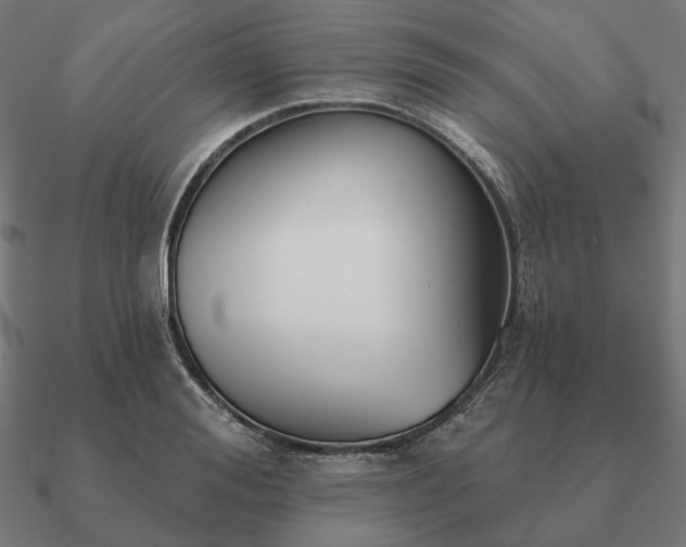 X0000090910988200708061519