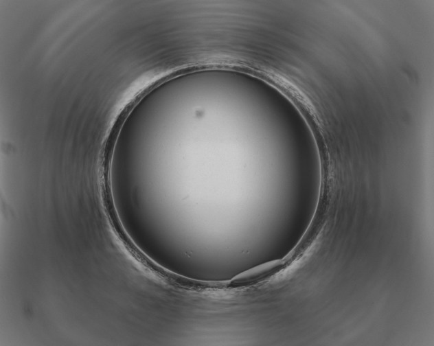 X0000090910989200708061519