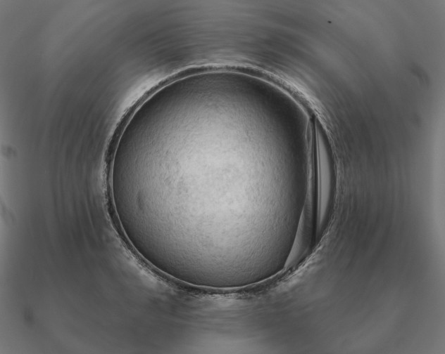 X0000090910990200708061519