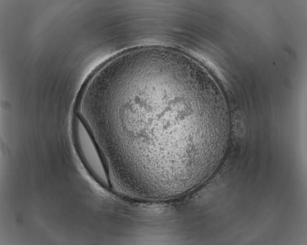 X0000090910991200708061519