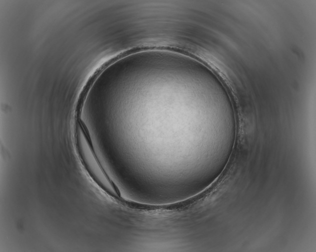 X0000090910992200708061519