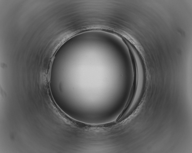 X0000090910993200708061519