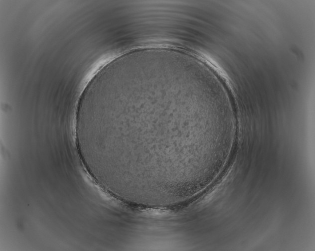 X0000090910994200708061519