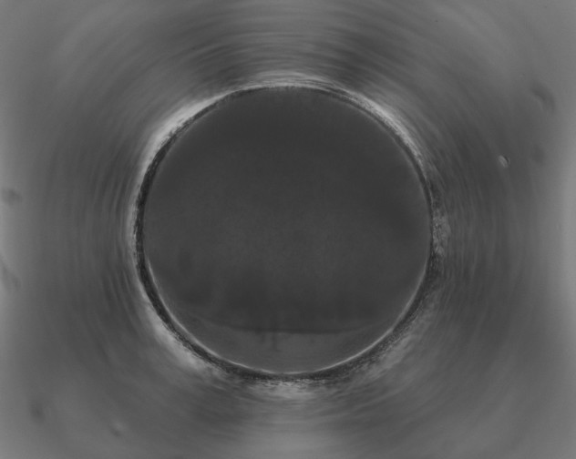 X0000090910995200708061519