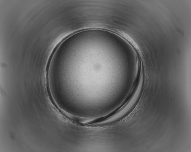 X0000090910996200708061519