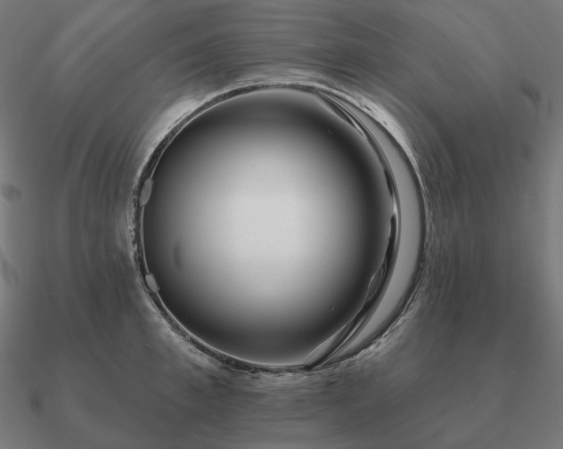 X0000090910997200708061519