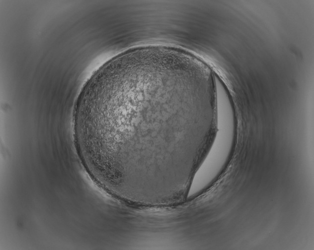 X0000090910998200708061519