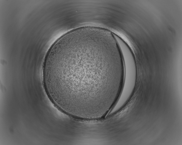 X0000090910999200708061519