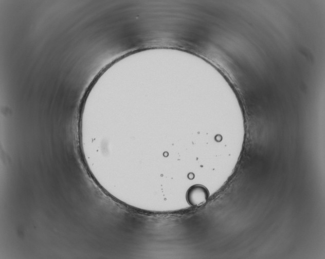 X0000090911000200708061519