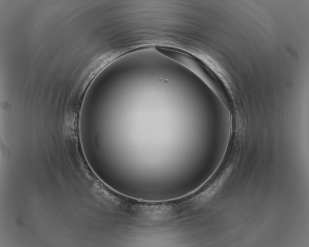 X0000090911001200708061519