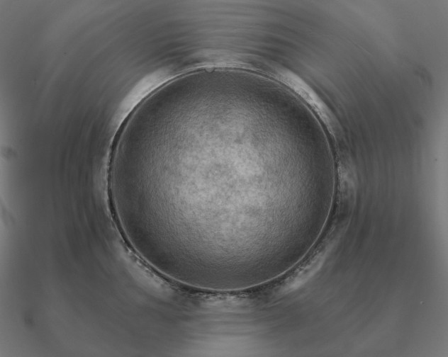 X0000090911002200708061519