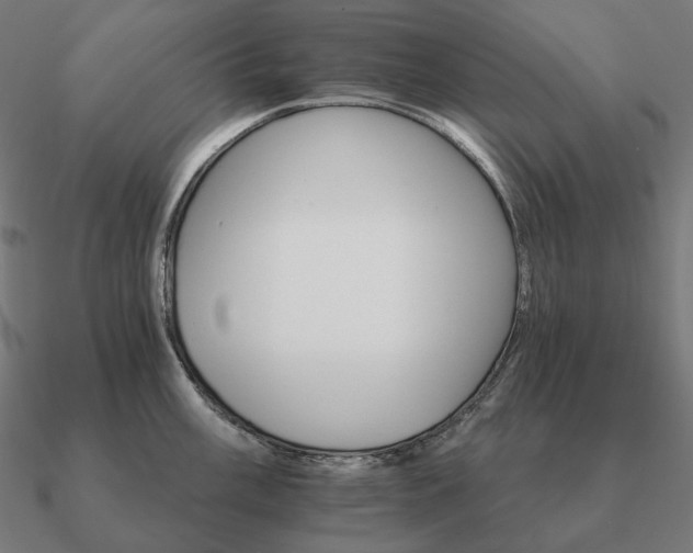 X0000090911003200708061519