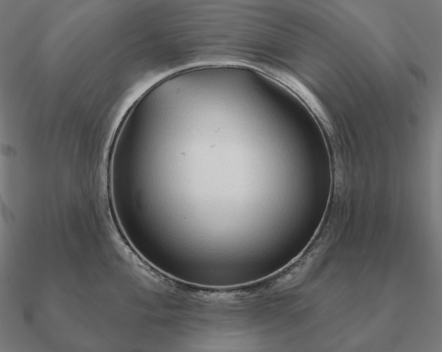 X0000090911004200708061519