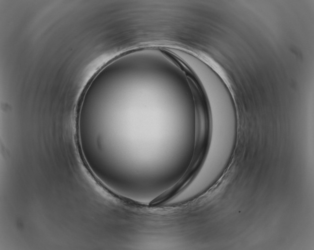 X0000090911005200708061519