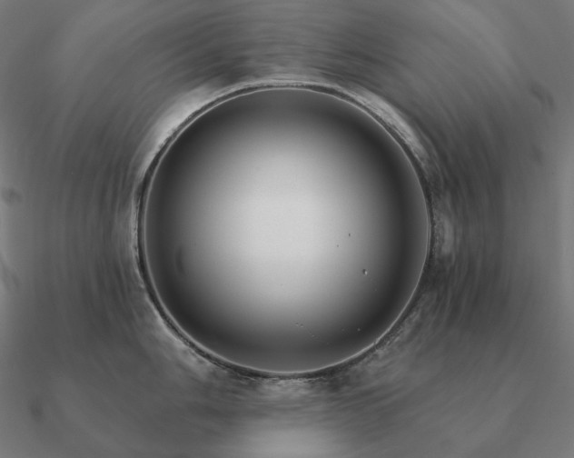 X0000090911006200708061519