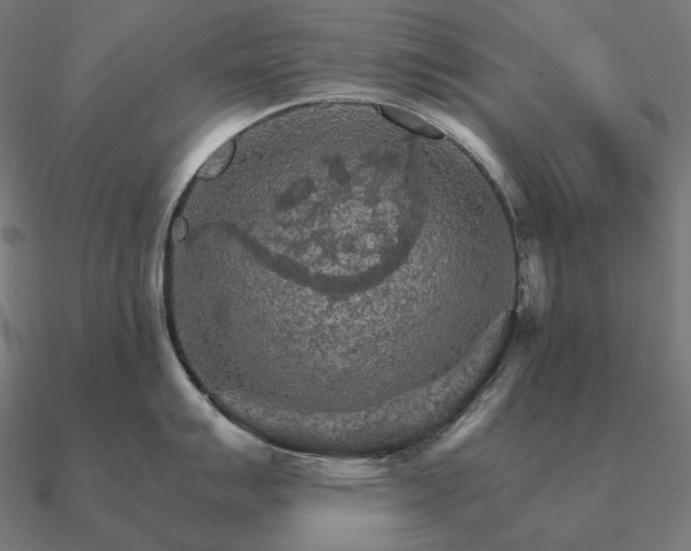 X0000090911007200708061519