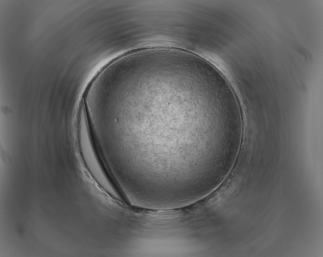 X0000090911008200708061519