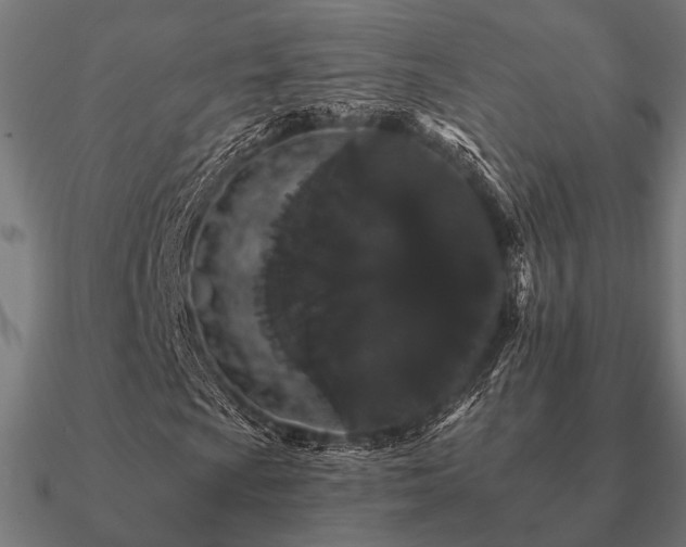 X0000090911009200708061518