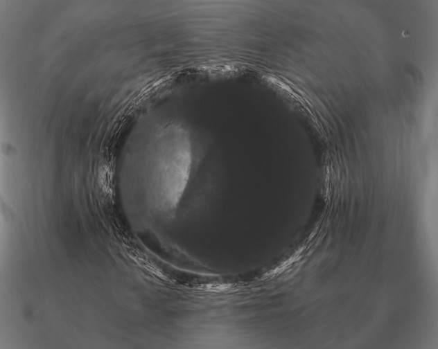 X0000090911010200708061518