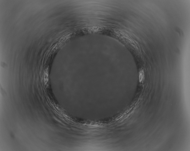 X0000090911011200708061518