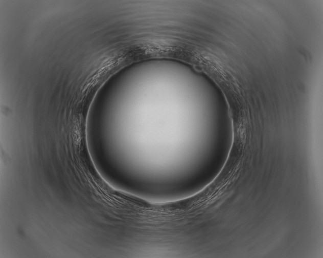 X0000090911012200708061518