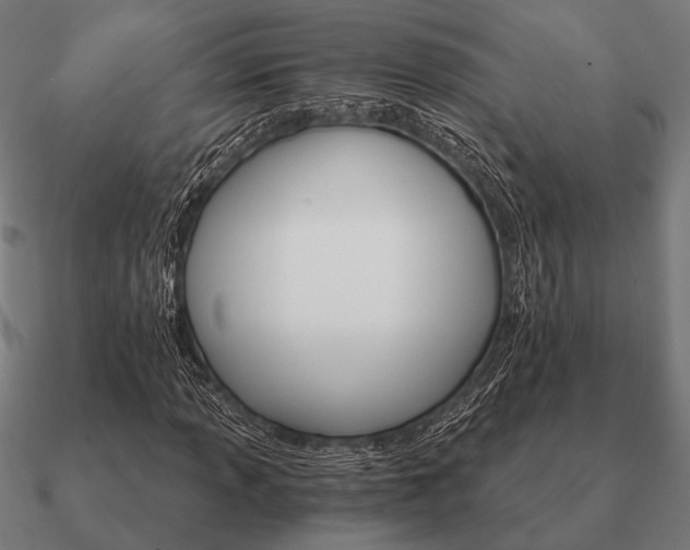 X0000090911013200708061518