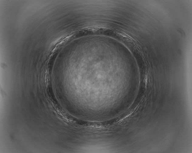 X0000090911014200708061518