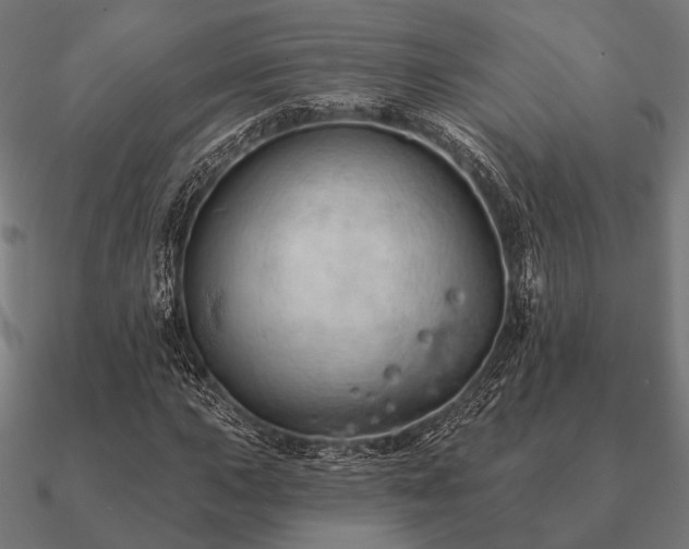 X0000090911015200708061518