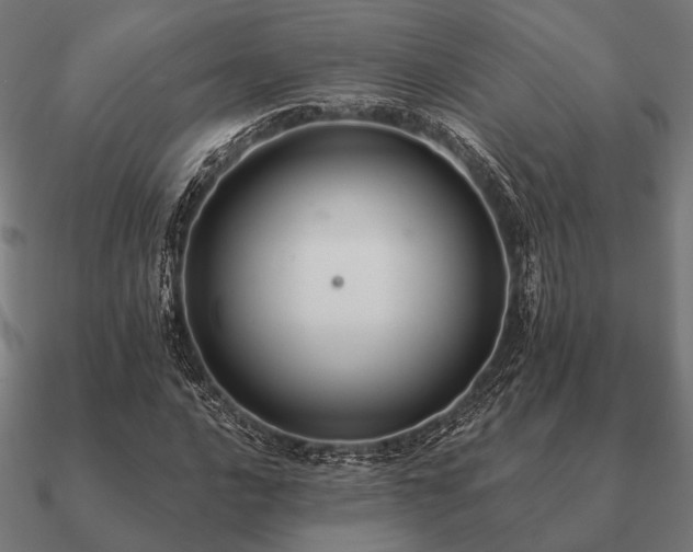 X0000090911016200708061518