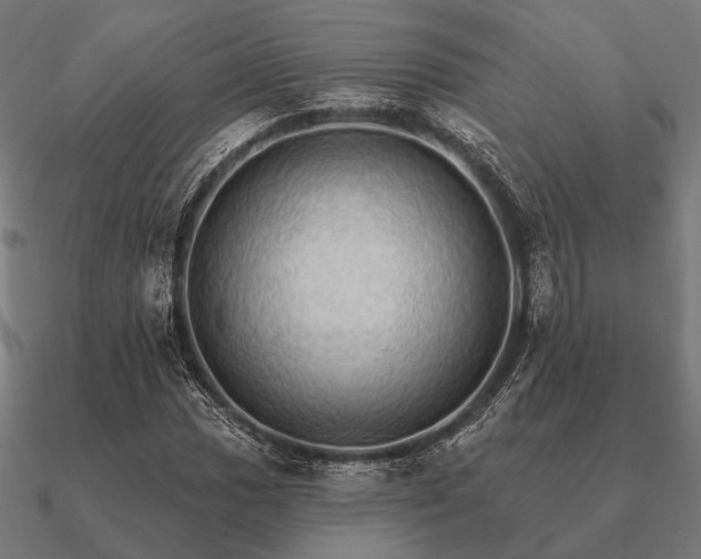 X0000090911017200708061518