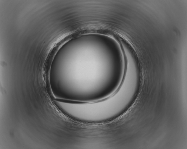 X0000090911018200708061518