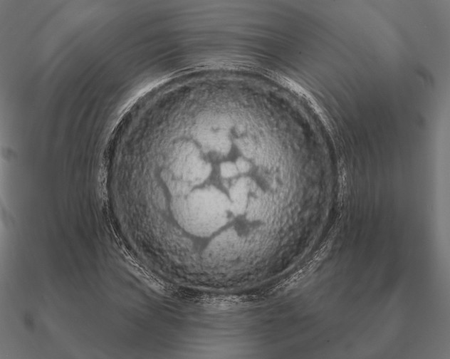 X0000090911019200708061518