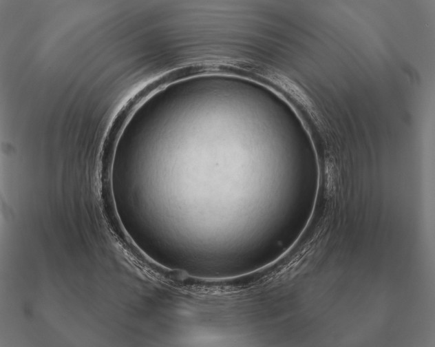 X0000090911020200708061518