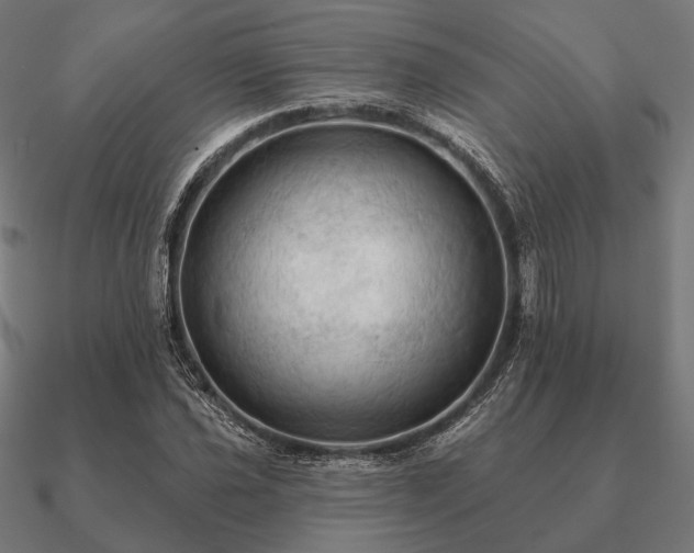 X0000090911021200708061518