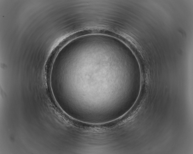 X0000090911022200708061518