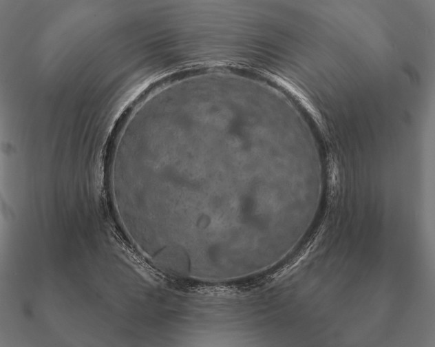 X0000090911023200708061518