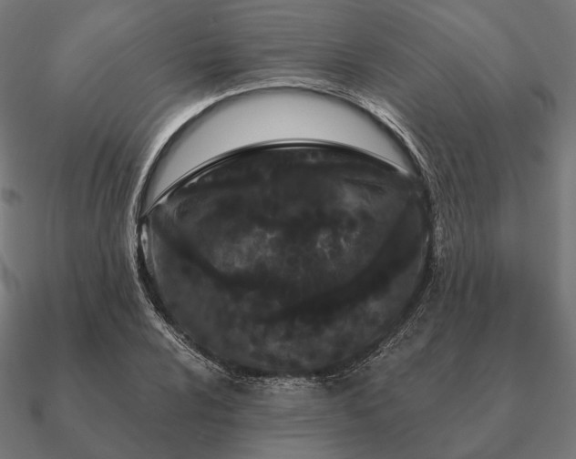 X0000090911024200708061518