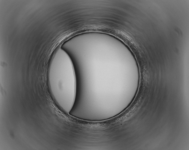 X0000090911025200708061518