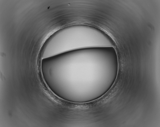 X0000090911026200708061518