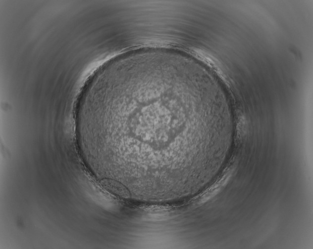 X0000090911027200708061518